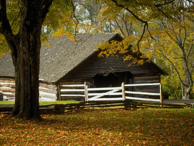 Обои картинки фото 