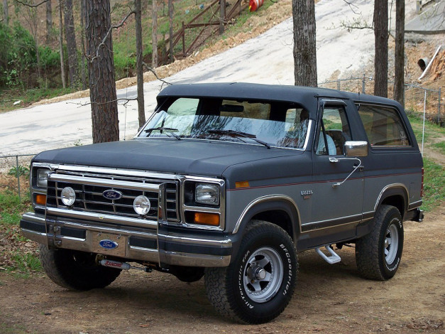 Обои картинки фото автомобили, ford