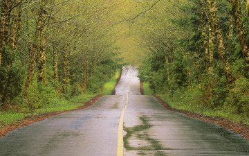 Картинка природа дороги