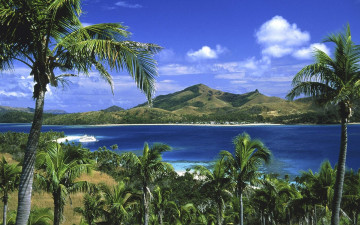 Картинка природа тропики