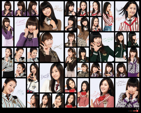 Обои картинки фото бренды, my, stylist, elite