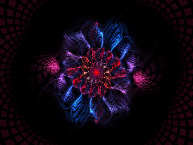 Обои картинки фото 3д, графика, fractal, фракталы