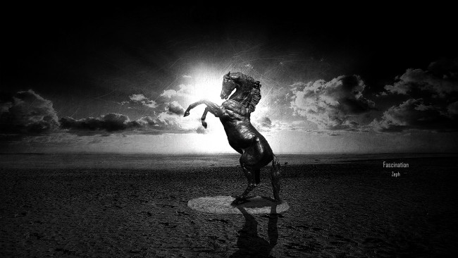 Обои картинки фото 3д, графика, animals, животные, лошадб