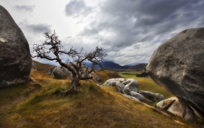 Обои картинки фото природа, деревья, холмы, валуны, трава, дерево