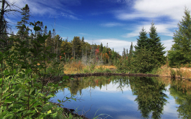 Обои картинки фото природа, реки, озера, лес, озеро, деревья