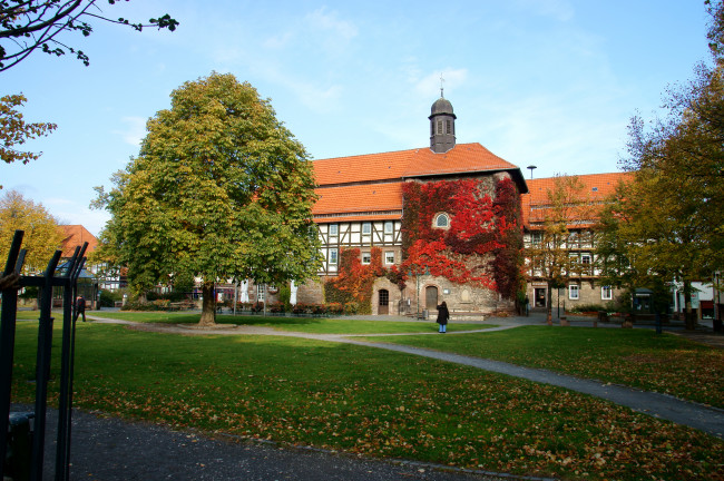 Обои картинки фото victoria, канада, города, улицы, площади, набережные, деревья, домик, парк