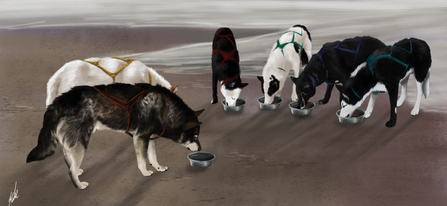 Обои картинки фото рисованные, животные, собаки