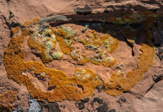 Картинка природа макро камень