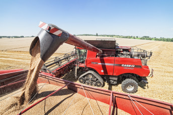 Картинка техника комбайны поле жатва комбайн