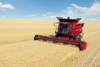 обоя техника, комбайны, поле, жатва, комбайн