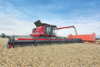 Картинка техника комбайны жатва комбайн поле