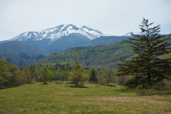 Картинка природа горы небо деревья