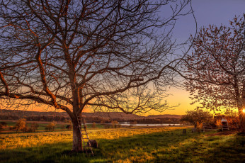 Картинка природа деревья небо лестница вечер закат