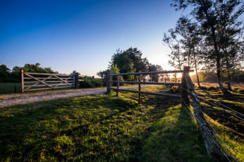 Картинка природа дороги поле изгородь тракт