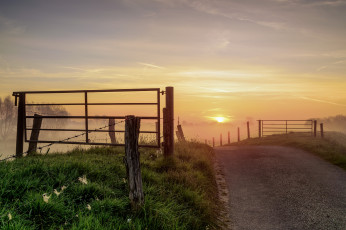 Картинка природа дороги поле тракт туман свет