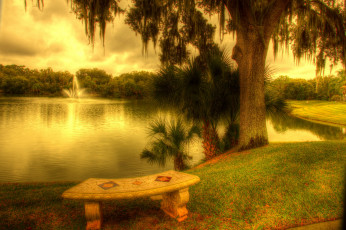 Картинка природа парк река дерево лавочка скамья