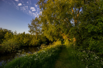 Картинка природа реки озера лес река тропинка