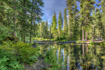 Картинка природа реки озера река лес