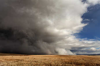 Картинка природа стихия ураган