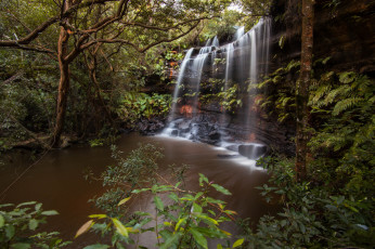 Картинка природа водопады лес река водопад