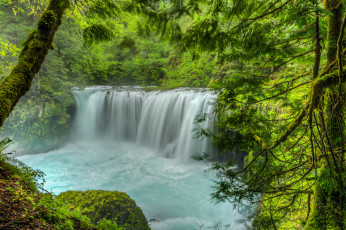Картинка природа водопады водопад река лес
