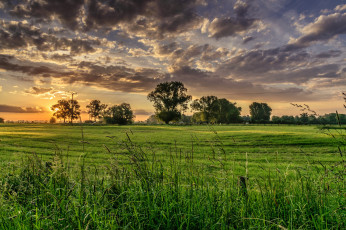 Картинка природа восходы закаты поле рассвет