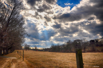 Картинка природа поля небо поле деревья облака лучи