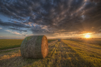 Картинка природа восходы закаты рассвет жнивье