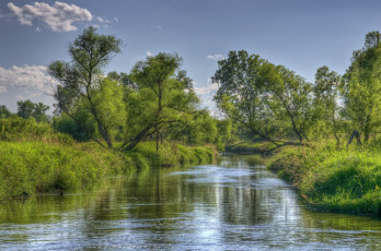 Картинка природа реки озера лес река