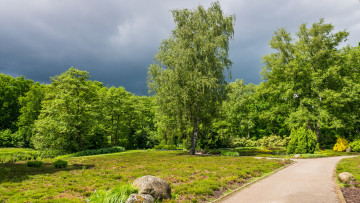 Картинка природа парк деревья дорожка