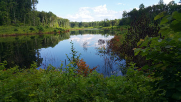 Картинка природа реки озера лес река