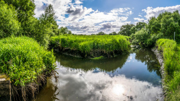 Картинка природа реки озера лес река островок