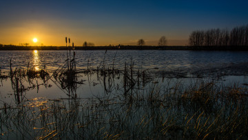 Картинка природа восходы закаты небо солнце утро камыш озеро