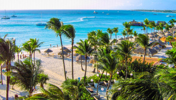 Картинка природа тропики океан пляж пальмы