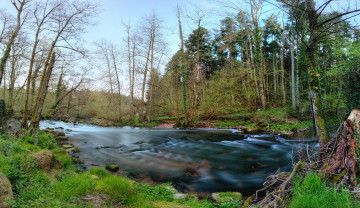 Картинка природа реки озера река лес