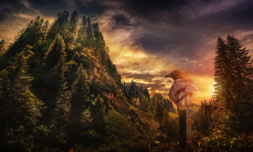 Картинка животные вороны +грачи +галки ворона птица закат пейзаж