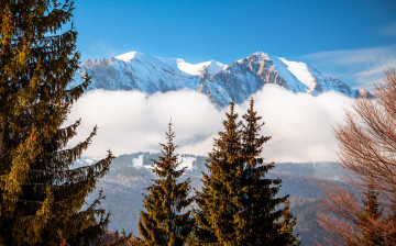 Картинка природа горы небо деревья