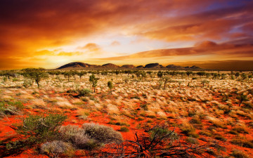 Картинка природа восходы закаты поле небо закат sky nature sunset landscape