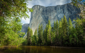 Картинка природа реки озера горы лес река