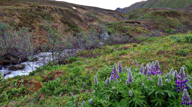 Обои картинки фото природа, реки, озера, ручей, овраг