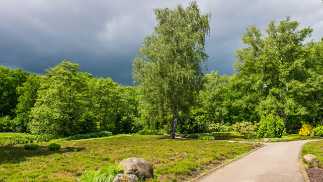 Обои картинки фото природа, парк, деревья, дорожка