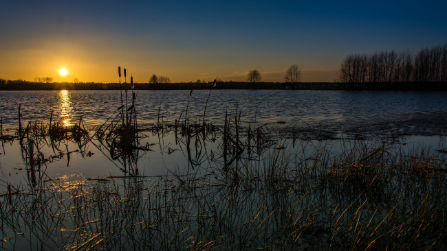 Обои картинки фото природа, восходы, закаты, небо, солнце, утро, камыш, озеро