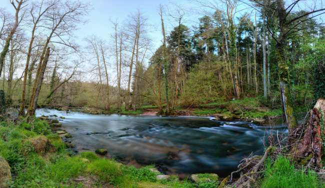 Обои картинки фото природа, реки, озера, река, лес