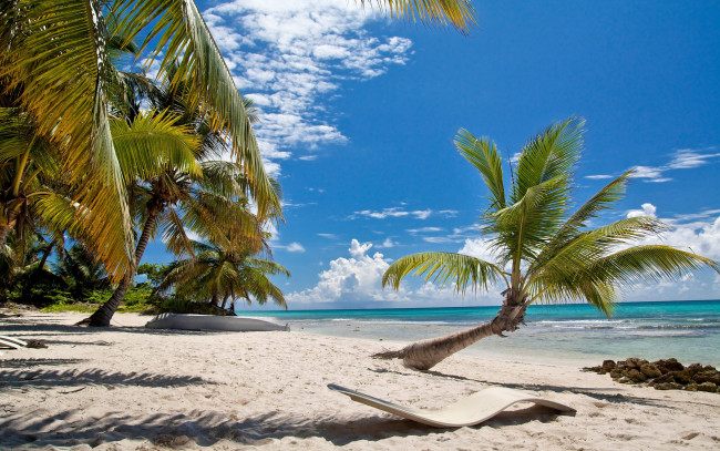 Обои картинки фото природа, тропики, пляж, tropical, paradise, пальмы, shore, sea, beach, summer, море, palms, sand, песок, берег