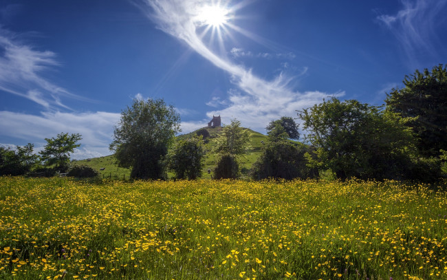 Обои картинки фото природа, восходы, закаты, сомерсет, англия, лютики, деревья, цветы, холм, луг, барроубридж, облака, небо, burrow, mump, somerset, england, burrowbridge