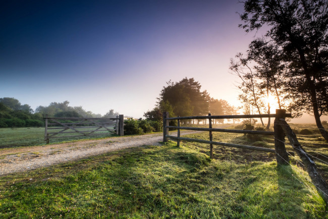 Обои картинки фото природа, дороги, поле, изгородь, тракт