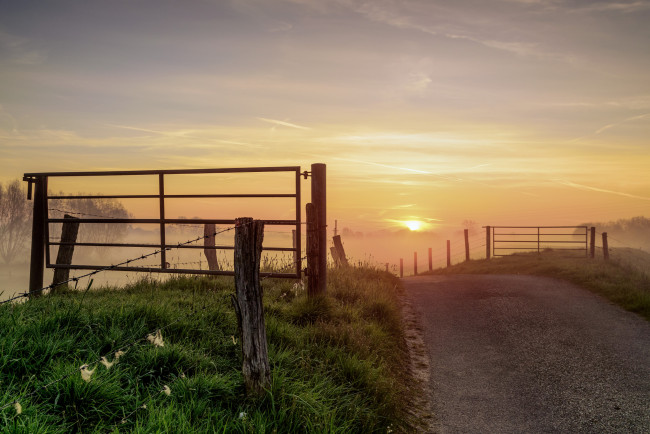 Обои картинки фото природа, дороги, поле, тракт, туман, свет