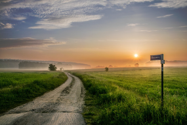 Обои картинки фото природа, дороги, поле, туман, рассвет, колея