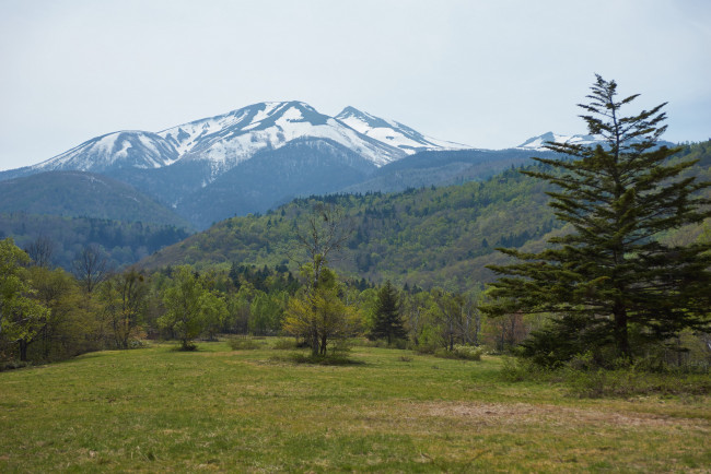 Обои картинки фото природа, горы, небо, деревья