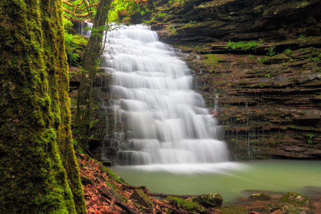 Обои картинки фото природа, водопады, водопад, река, лес